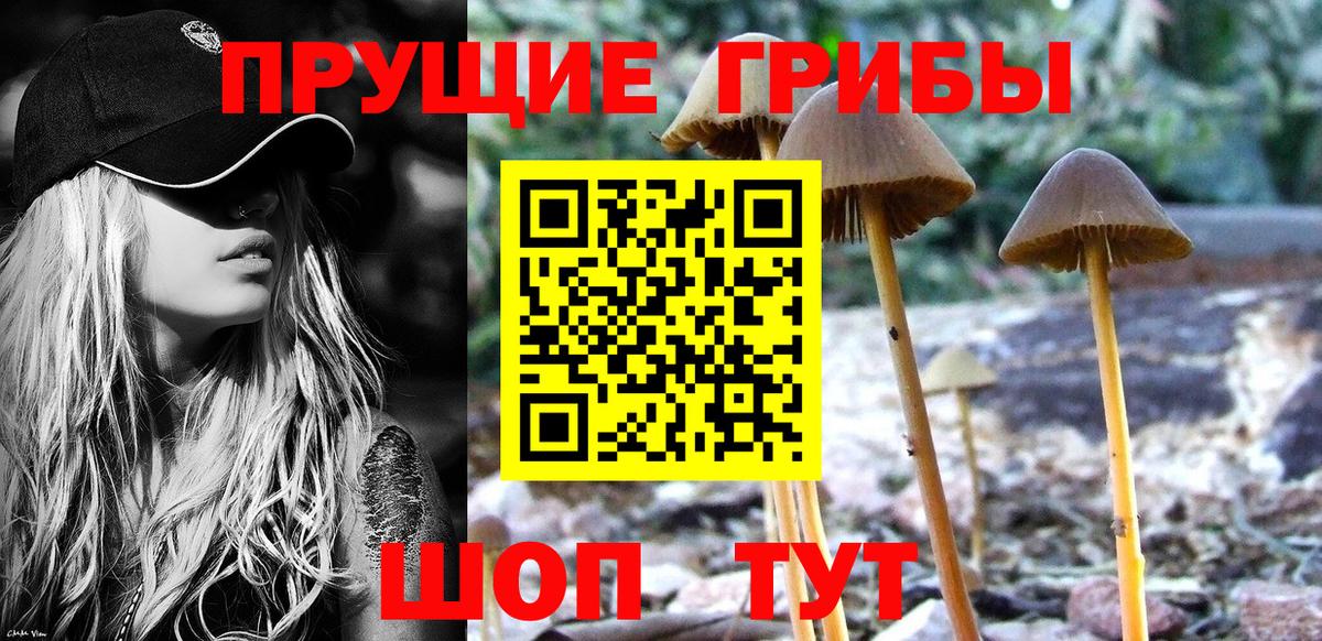 Осинники  Псилоцибиновые грибы прущие грибы  Вход с VPN 