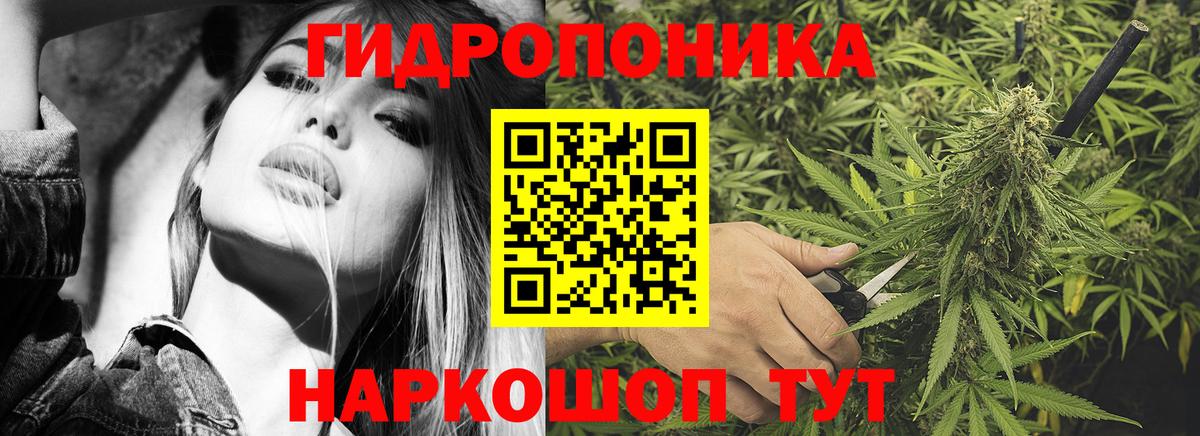 Шишки марихуана OG Kush  МАРИХУАНА Amnesia  Каннабис план  Осинники  Вход с VPN 